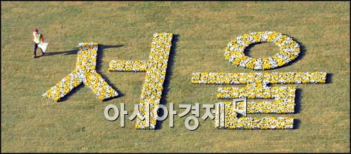 [포토]서울광장에 핀 꽃
