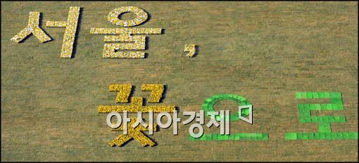 [포토]꽃으로 변한 서울광장