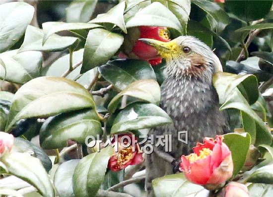 [포토]오늘 점심은 뭘 할까~