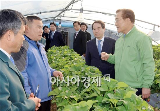 [포토]박준영 전남지사,담양 딸기농가 방문
