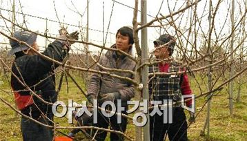 장성 새내기 귀농인, 선도농가에서 배운다!