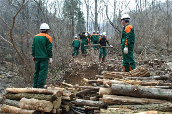 산림일자리 29만개로 늘어난다