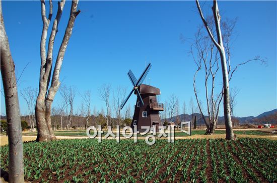 [순천정원박람회] 봄 향 가득한 정원박람회장 엿보기