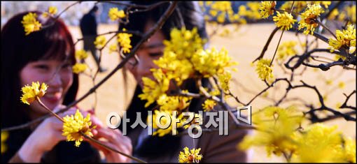 [포토]완연한 봄