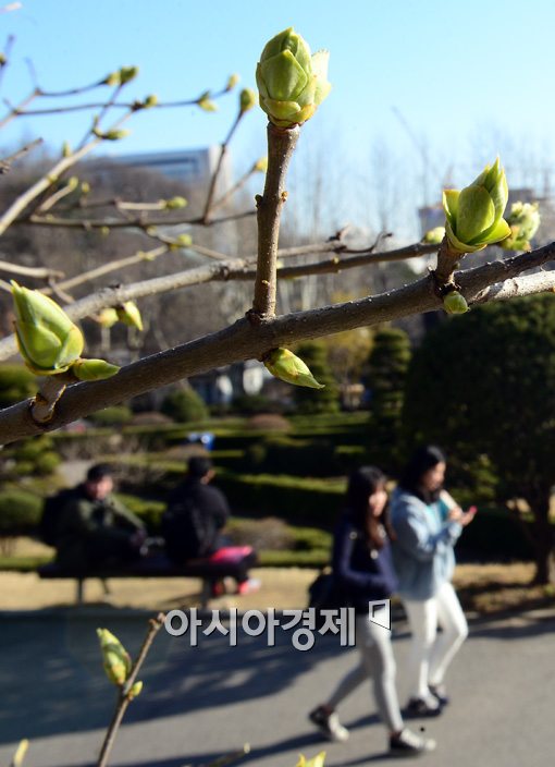 [포토]싹이 움트는 봄날의 캠퍼스 