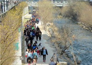 [서울스토리]청계천변 토굴민이 땅꾼의 원조