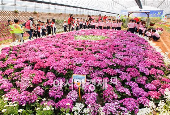 [포토]봄꽃의 화려한 외출,  어린이들 시선잡아