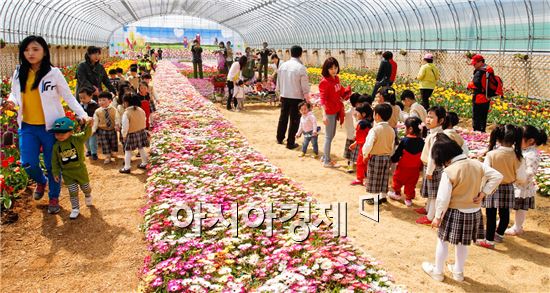 [포토]봄꽃의 화려한 어울림~봄의 향연 