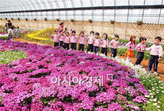 [포토]봄꽃에 취한 어린이들