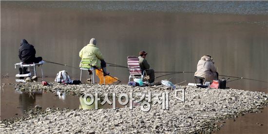 [포토]봄맛 즐기는 강태공