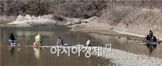 [포토]봄맛 즐기는 강태공