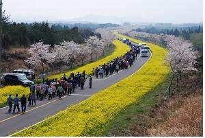 호텔료 최고 비싼 관광지 '서귀포'…가장 저렴한 곳은?