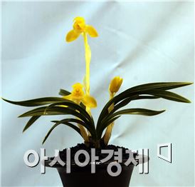 대상에 김성철씨의 ‘황화소심(보름달)’