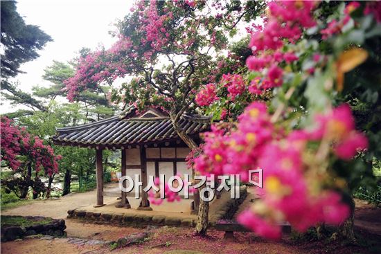 담양군, ‘송강 정철의 자취를 따라가는 생생 가사체험’ 참가자 모집!!