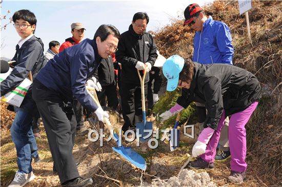 장성군, 편백나무 4500본 식재 