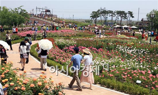 곡성으로  "천만송이 세계명품장미" 보러오세요