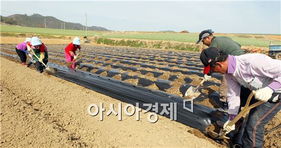 [포토]봄맞이 하는 농민들