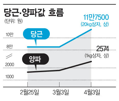 물가 잡는다던 朴정부…양파·당근 6배 올라