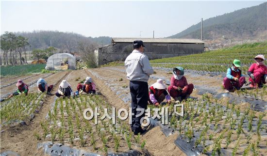 함평경찰,  들녘 농사현장 방문 경찰행정 홍보  