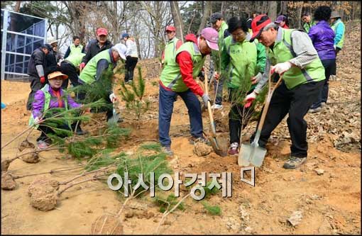 서울에 도시숲 늘어나…"미세먼지 줄인다"