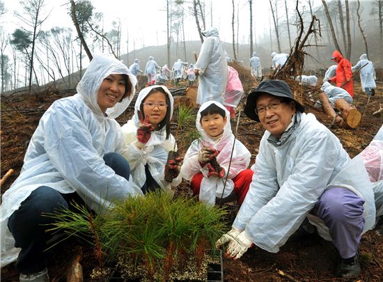 한국제지연합회, 1500그루 소나무 식목행사