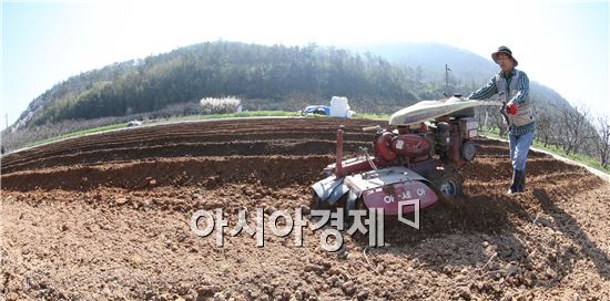 [포토]밭갈이 나선 농부
