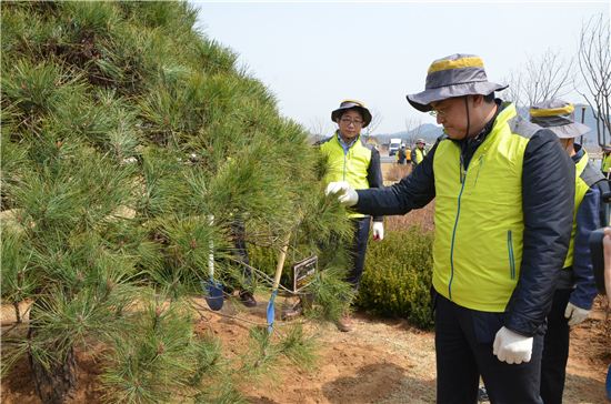 [포토]나무심는 서승환 국토부 장관 