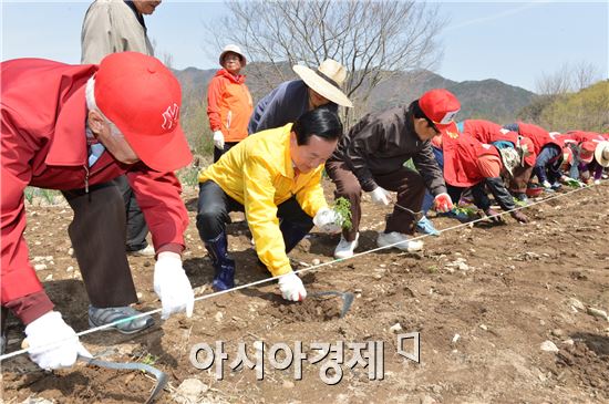 [포토]경로당광역지원센터 공동작업장에 "개똥쑥" 식재