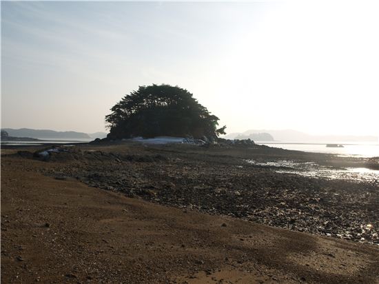 안면도 고급 펜션 부지 분양
