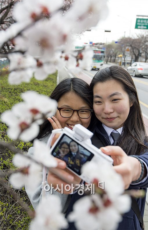 [포토]서울까지 올라온 봄의 향기~