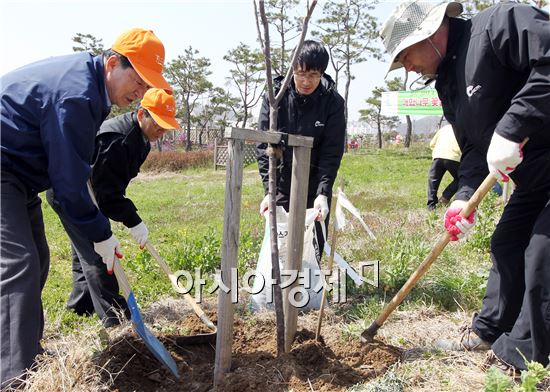 함평군, 함평천변에 20㎞ 매화꽃길 관리 총력