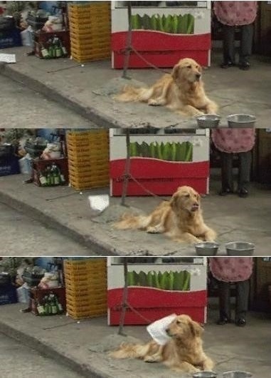 파일전송중 실사판 "컴퓨터 화면이랑 똑같아"