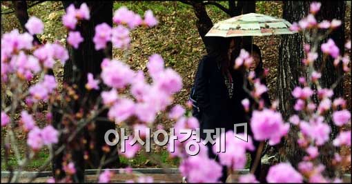 [포토]갑자기 내린 눈비