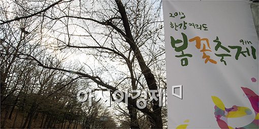 [포토]"벚꽃없는 벚꽃축제 되겠네~"