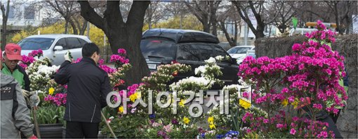 [포토]'봄꽃축제 준비 이상무!'