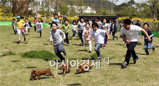 세계축제도시 함평 제15회 함평나비대축제 4월26일 개막