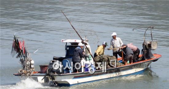 여수시, 어업인 소득증대 위해 전복·바지락 살포