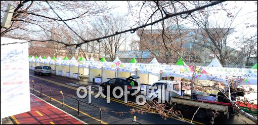 [포토]벚꽃이 없는 여의도