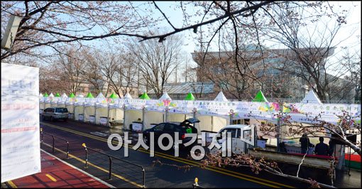 [포토]벚꽃은 언제쯤?