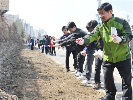 김성환 노원구청장, 당현천변 꽃씨 뿌리기 