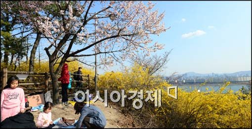 [포토]파란하늘 아래 그림 그리는 시민들