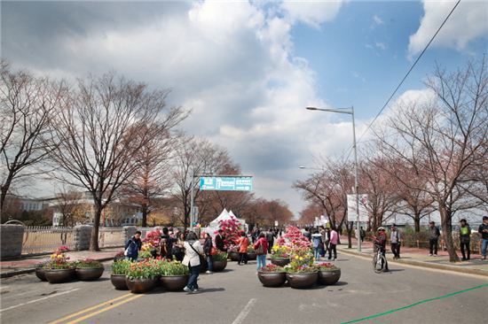 봄꽃 축제장인 국회의사당 윤중로 