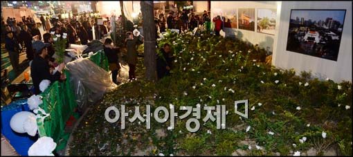 [포토]국화 놓여진 화단