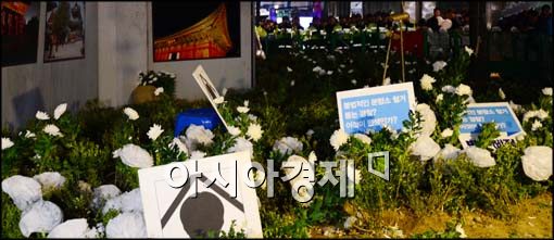 [포토]화단 속에 영정과 국화
