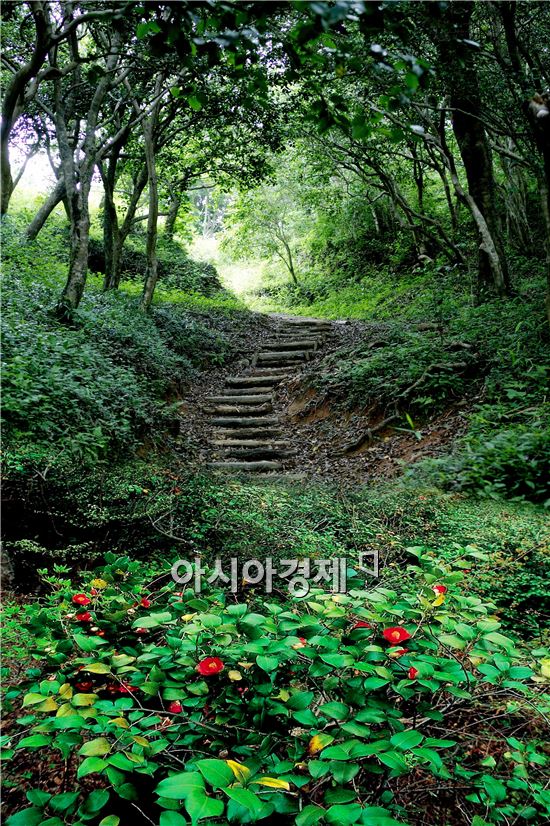 광양 옥룡사지 동백림