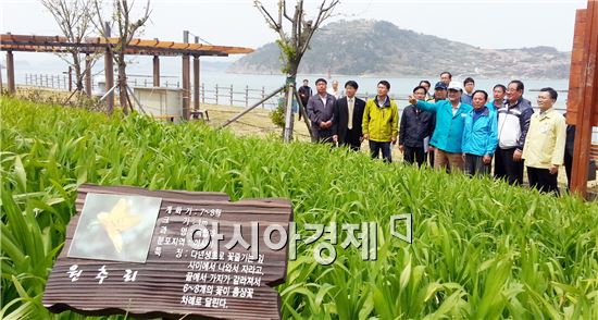 김충석 여수시장, 하화도 꽃섬 조성 현장 방문