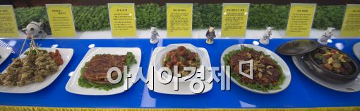 [포토]한돈의 다양한 변신