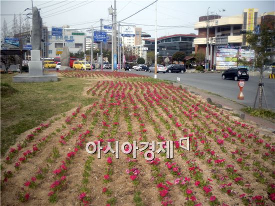 장흥읍 터미널 소공원 꽃 식재 