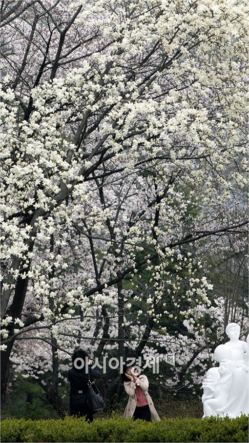 [포토]즐거운 봄 나들이