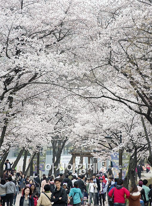 [포토]모처럼 찾아온 봄날씨 즐기는 시민들